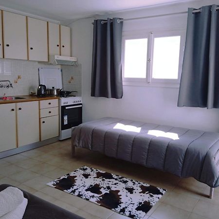 Andros Lighthouse Apartments Mesaria  エクステリア 写真
