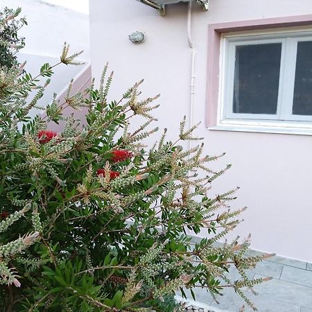 Andros Lighthouse Apartments Mesaria  エクステリア 写真
