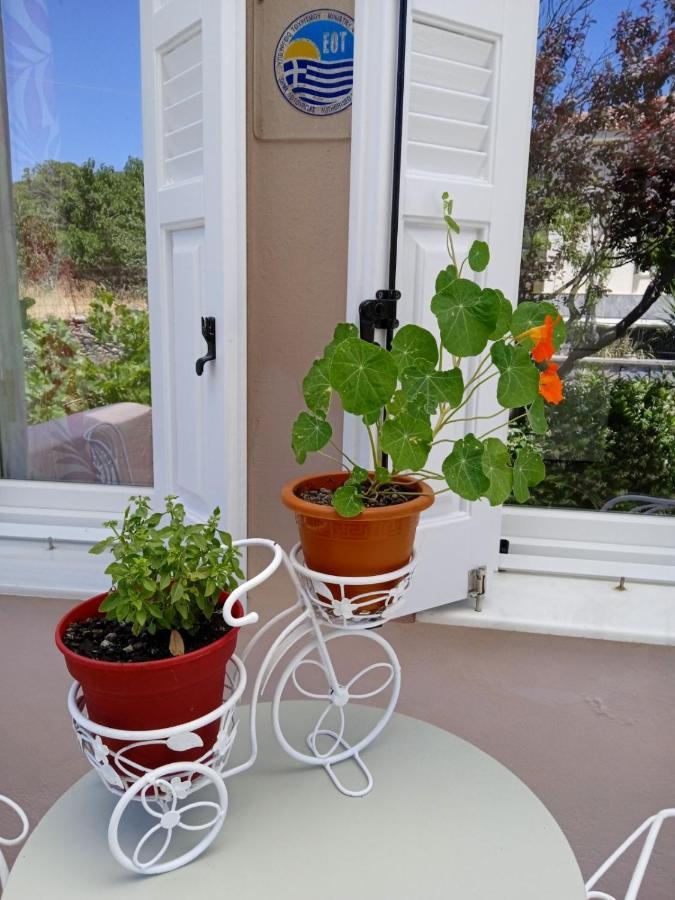 Andros Lighthouse Apartments Mesaria  エクステリア 写真