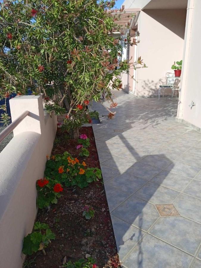 Andros Lighthouse Apartments Mesaria  エクステリア 写真