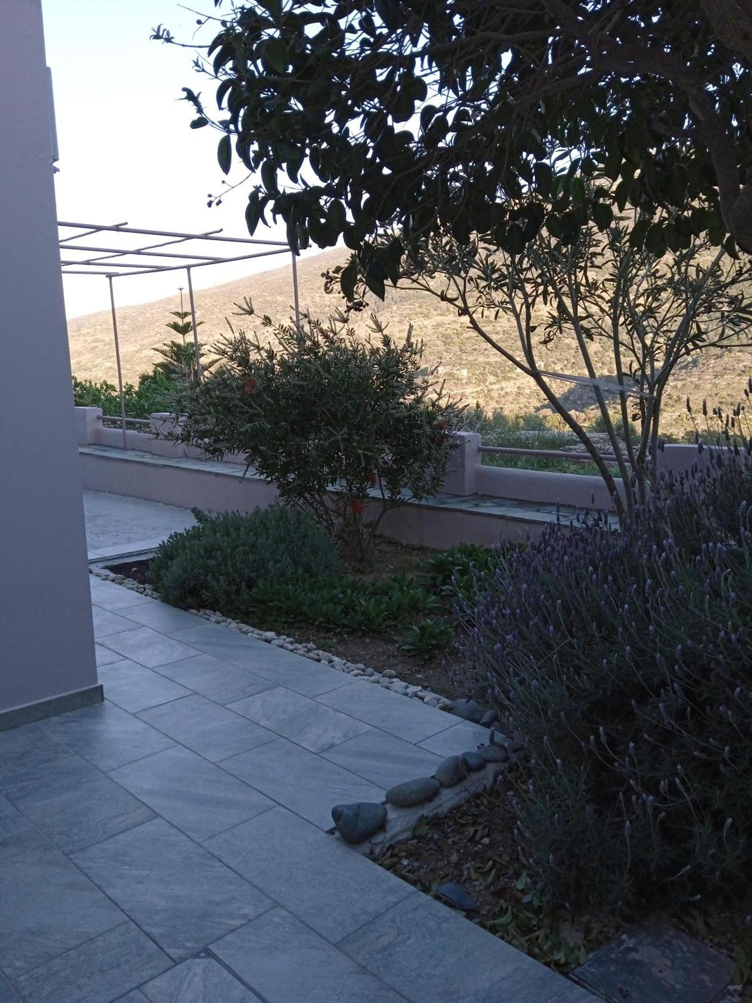 Andros Lighthouse Apartments Mesaria  エクステリア 写真
