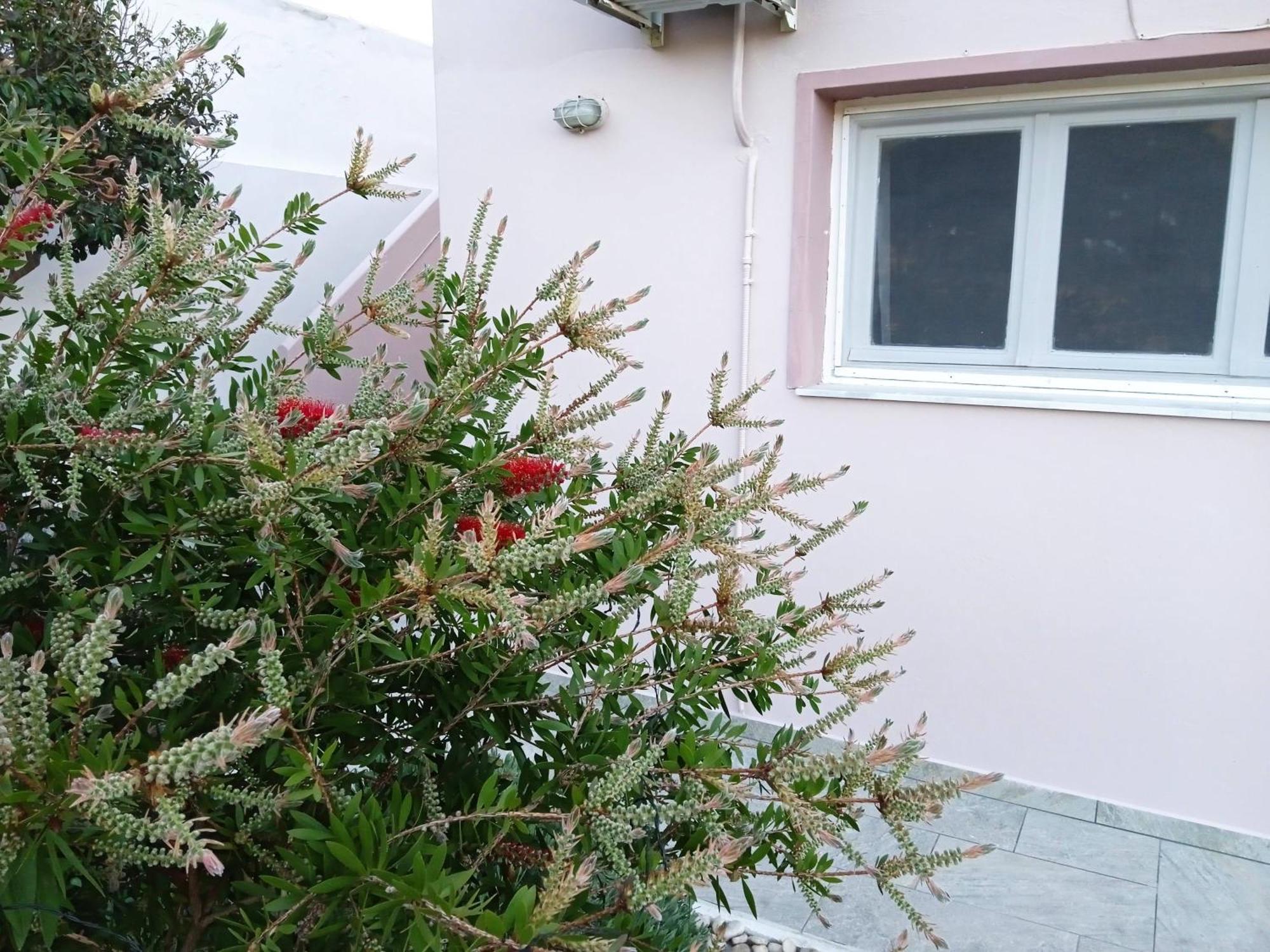 Andros Lighthouse Apartments Mesaria  エクステリア 写真
